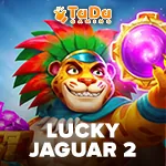 Aplicativo EvolveCasino